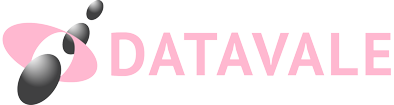 Logo Datavale